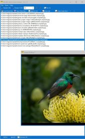 MultiScreenViewer_Screenshot_1