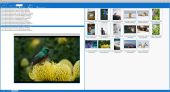MultiScreenViewer_Screenshot_2