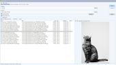 Search_Screenshot_1