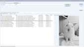 Search_Screenshot_2