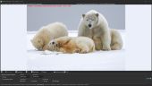 SlideShow_Screenshot_2