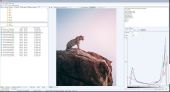 Viewer_Screenshot_1